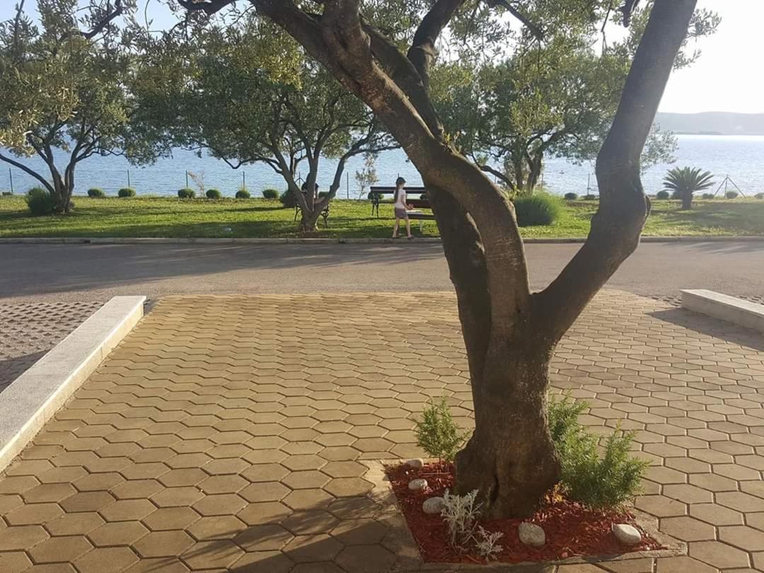 Apartamento Maria'S Biograd Na Moru Exterior foto